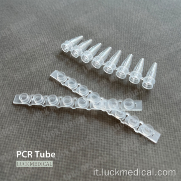 PCR in plastica usa e getta a 8 tubi PCR